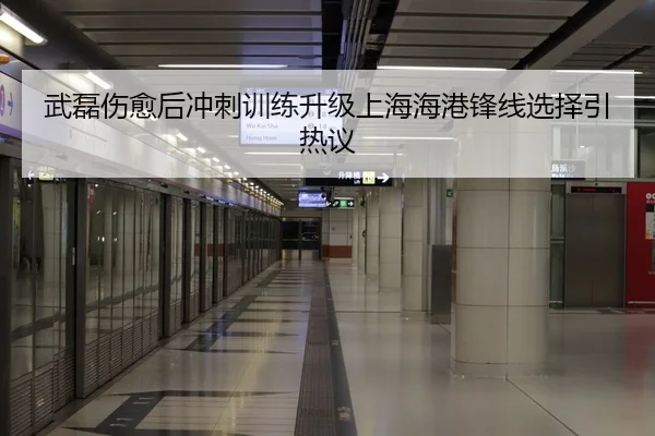 武磊伤愈后冲刺训练升级上海海港锋线选择引热议