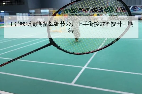 王楚钦新周期备战细节公开正手衔接效率提升引期待