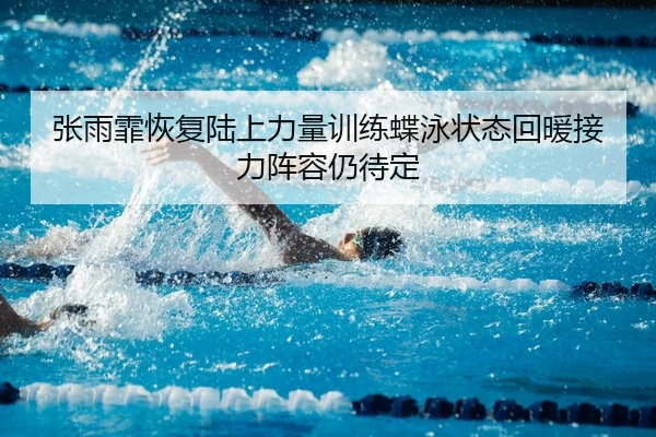 张雨霏恢复陆上力量训练蝶泳状态回暖接力阵容仍待定